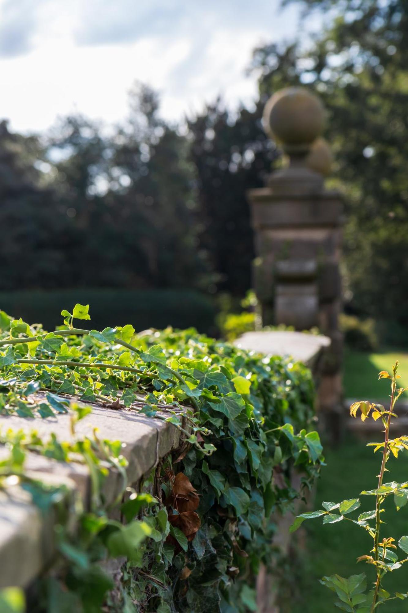 Bosworth Hall Hotel & Spa Market Bosworth Εξωτερικό φωτογραφία